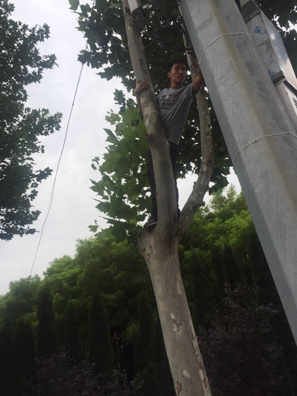 201708071502096660297